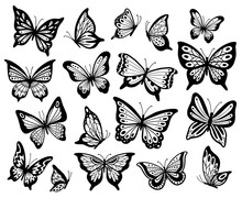 Drawing Butterflies. Stencil Butterfly, Moth Wings And Flying Insects Isolated Vector Illustration Set