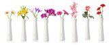 Fototapeta Kwiaty - Flowers in tall white vases