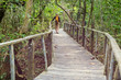 © Galyna Andrushko - Boardwalk in the forest