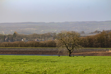 Poster - natural landscape