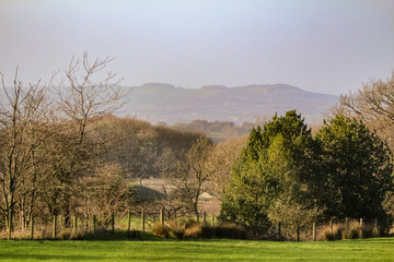 Poster - natural landscape