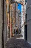 Fototapeta Na drzwi - Narrow lane between historic low-rise buildings
