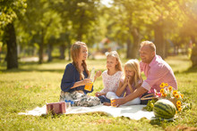 Happy Family With Smiles Picnic In The Park On A Sunny Day
