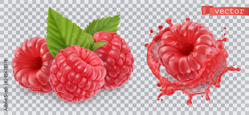 Fotomural Raspberry. Sweet fruit. 3d realistic vector icon