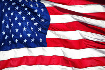 Wall Mural - American Flag