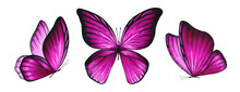 Three Watercolor Pink Bright Butterflies