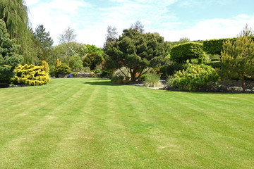 Wall Mural - A perfect English country garden