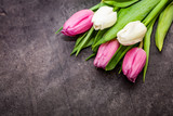Fototapeta Tulipany - Pink and white tulips on dark background