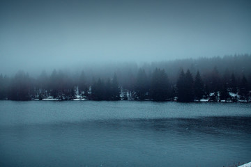 Wall Mural - Dark moody winter lake view with foggy background and pine trees with sky gradient. Mountain forest in winter fog. Harz Mountains National Park in Germany