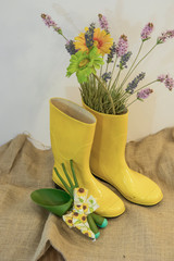 rain boots with gardening equipment and spring flowers on the eco background from sackcloth