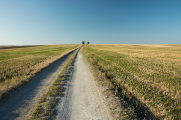 rural road through stubble field and blue sky