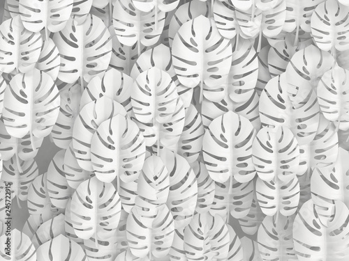 tropikalne-liscie-monstera-biale-tlo-ilustracja-3d