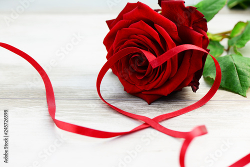 Download Net roterose Desktop Wallpaper Free Net Roterose