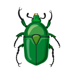 Wall Mural - Vector design of insect and fly sign. Set of insect and element vector icon for stock.