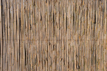  Bamboo fence