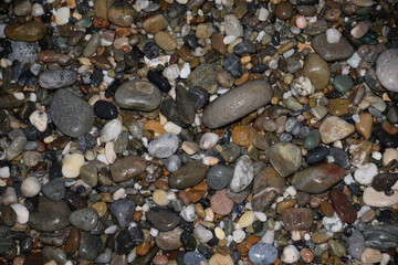 Canvas Print - Kiesel an einem Strand