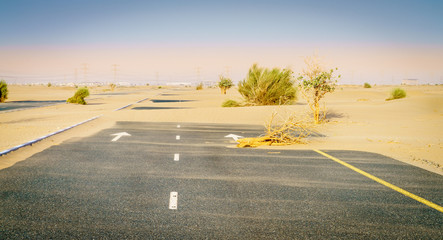 Canvas Print - Abandoned desert road