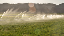 Irrigation System Watering Farming Lands In Cannonville, Kane County, Utah