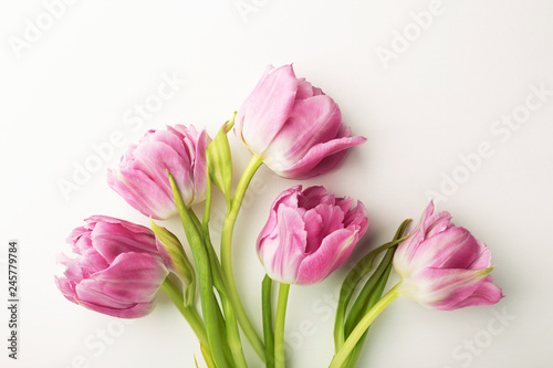 Pink tulips on white background with copy space. Top view, close up.