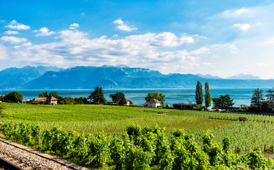 Wall Mural - Mountain Countryside near Lake Geneva, Switzeraland