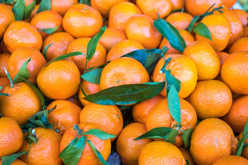 Bunch of fresh tangerines oranges on market