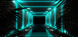 Background of the dark room, tunnel, corridor, neon light, lamps, tropical leaves. Abstract background with new light. 3D rendering