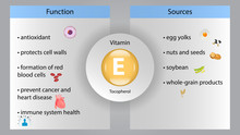 Vitamin E Vector Design. Vitamin E Function And Sources. Tocopherol Vector