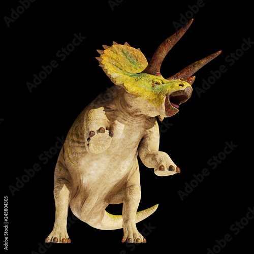 Fotomural Triceratops horridus dinosaur in action (3d illustration isolated on black backg
