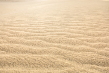  Sand einer Wüste als Hintergrund