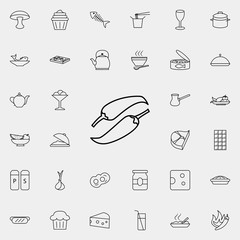Poster - hot peppers icon. Food icons universal set for web and mobile