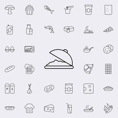 Poster - food in a tray icon. Food icons universal set for web and mobile