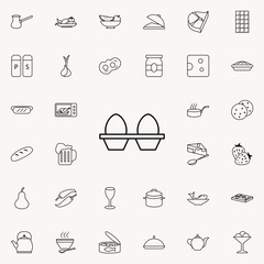 Poster - eggs in the package icon. Food icons universal set for web and mobile