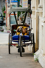 Canvas Print - wheelchair in park, digital photo picture as a background