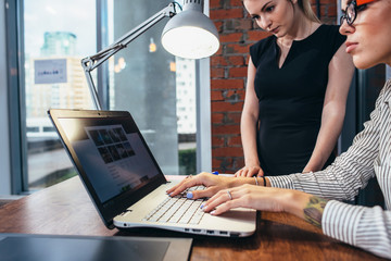 Wall Mural - female interior designer working with a customer watching pictures using laptop sitting at modern st