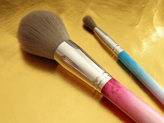 Make Up Brushes