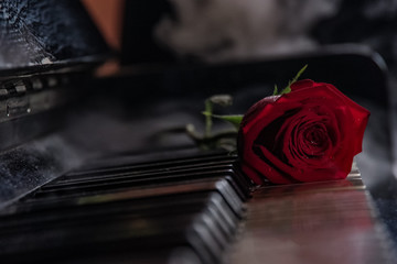 Wall Mural - red rose on black piano