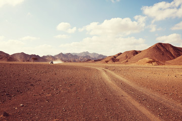 african expedition