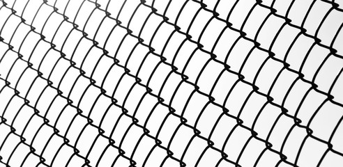 Wall Mural - cage metal wire on pale white background