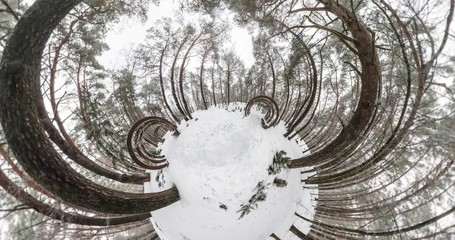 Wall Mural - little planet transformation with curvature of space. full flyby panorama with rise up into the sky 