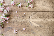 Apple Flowers On Wooden Background