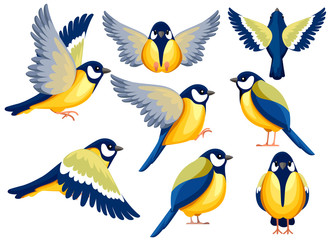 colorful icon set of titmouse bird . flat cartoon character design. bird icon in different side of v