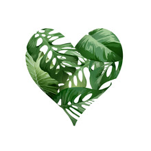 A Green Heart Love Concept Made From Tropical Green Palm Plant Leaves. Vector Illustration.