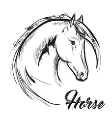 horse head profile sketch vector graphics. Hand drawn vector illustration