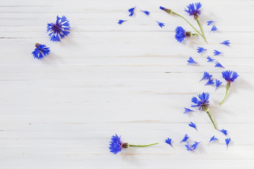 Sticker - cornflowers on white wooden background