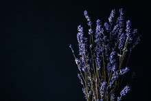 Lavender Flowers Background, Free Space 