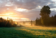 Tranquil Foggy Grassland And Trees At Sunrise