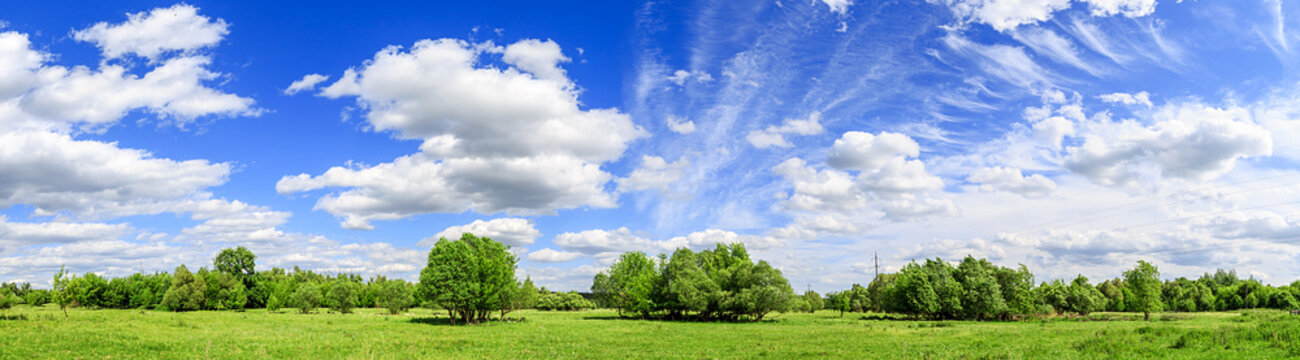 Fototapete -  - green field with trees and blue sky with clouds Sunny day, beautiful rural landscape, panoramic banner
