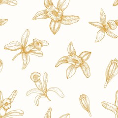 Poster - Monochrome seamless pattern with blooming vanilla flowers drawn with contour lines on light background. Floral backdrop with blossom of exotic plant. Elegant vector illustration for wrapping paper.