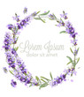 Lavender wreath card watercolor Vector. Flowers bouquet background. Spring delicate banner. Wedding invitation, Women day, birthday templates