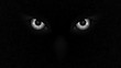 Halloween staring scary spooking evil Owl eyes on dark grunge background